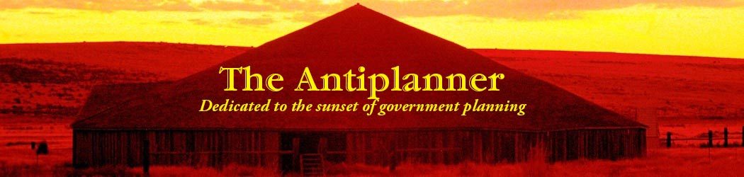 The Antiplanner